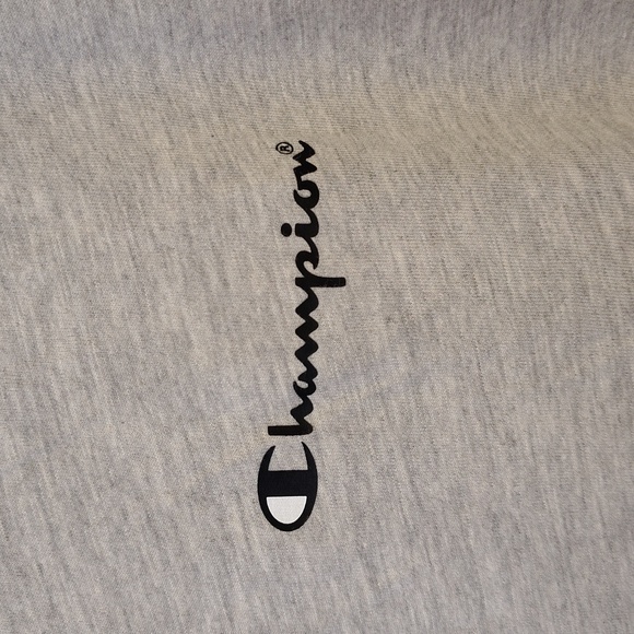 Champion Men's Heathered Grey Short Sleeve Tee with Black Accents - Picture 3 of 8